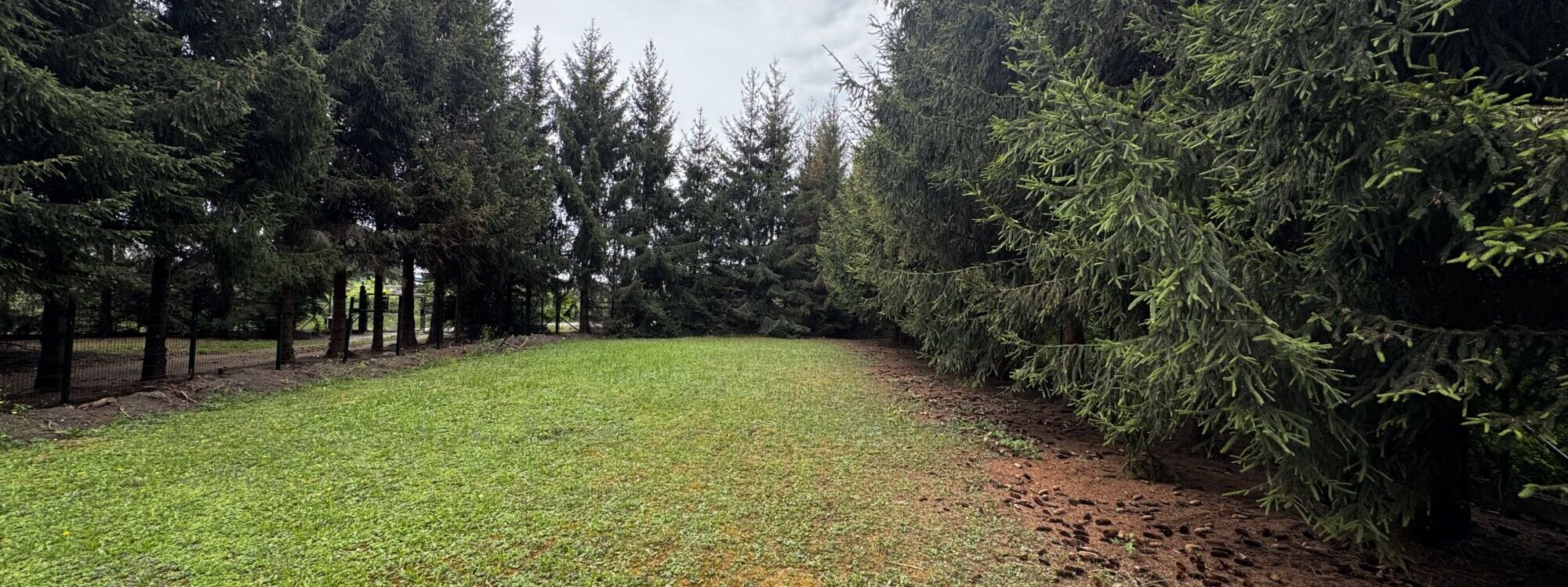 Elevage canin: Cr&eacute;ation parcs a chien, Souffelweyersheim Illkirch-Graffenstaden