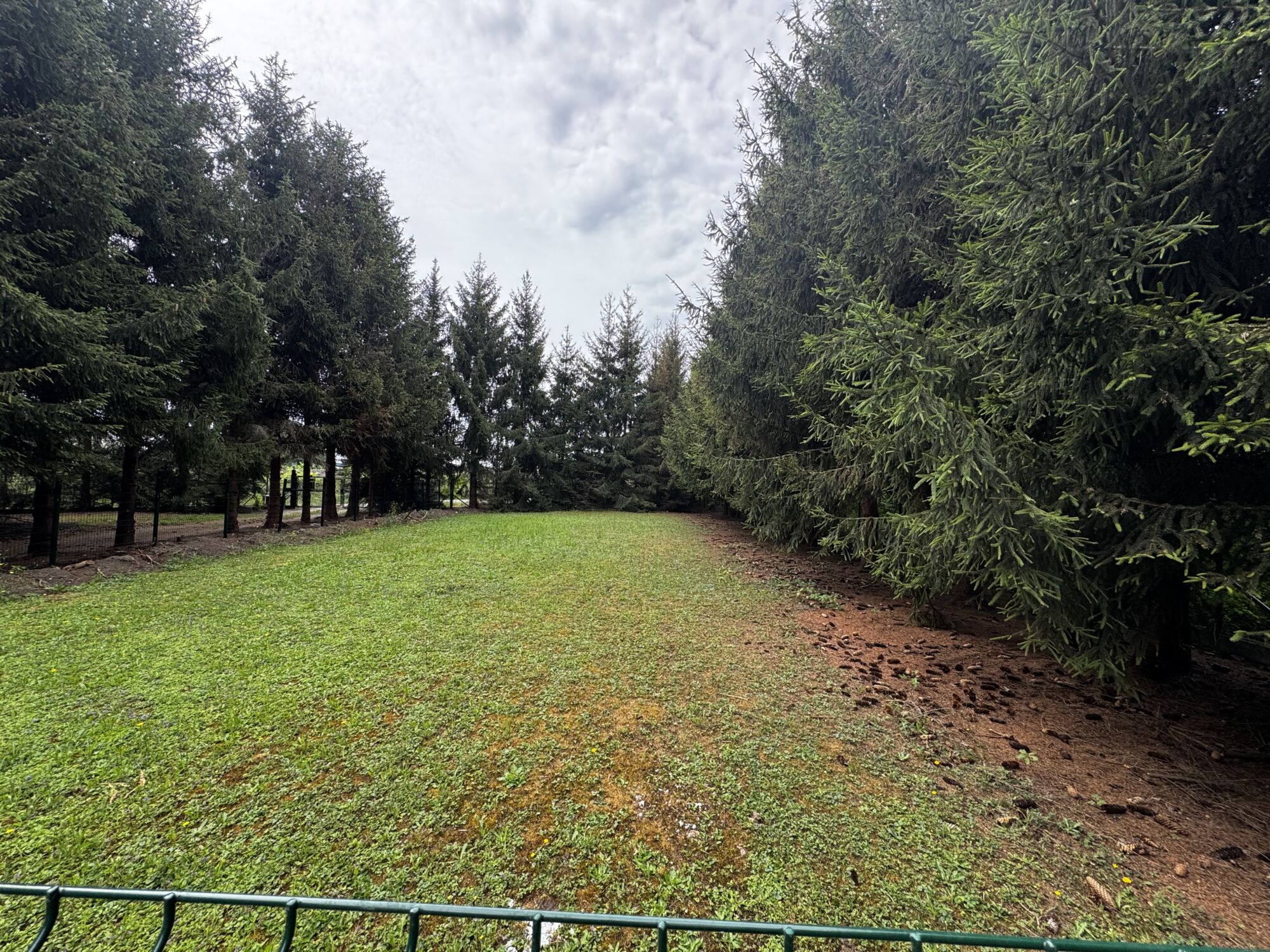 Elevage canin: Cr&eacute;ation parcs a chien, Souffelweyersheim Illkirch-Graffenstaden